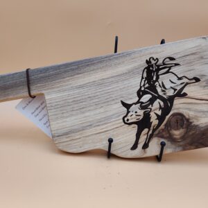 Oklahoma Bull Rider 2